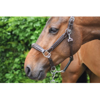 Cabezada Wednesday Jump'In week Havana Marrón