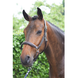 Cabezada Wednesday Jump'In week Havana Marrón