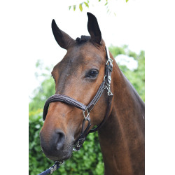 Cabezada Wednesday Jump'In week Havana Marrón