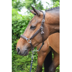 Cabezada Wednesday Jump'In week Havana Marrón