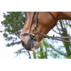 Muserola alemana con cadena Jump'In Week