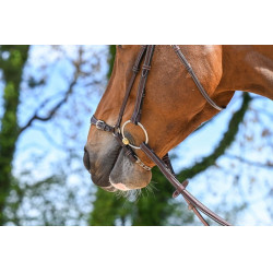 Muserola alemana con cadena Jump'In Week