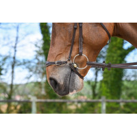 Muserola alemana Jump'In Week Havana Marrón