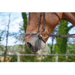 Muserola alemana Jump'In Week Havana Marrón