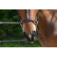 Muserola hackamore Jump'In Caoba Burdeos Muserola hackamore Jump'In Caoba Burdeos