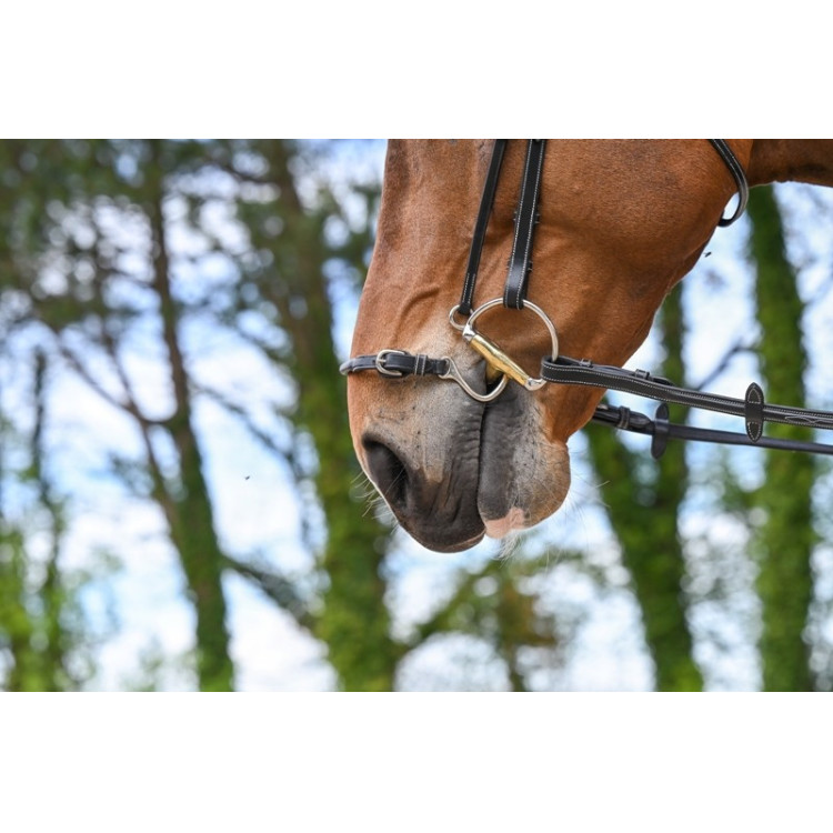Muserola Kineton Jump'In