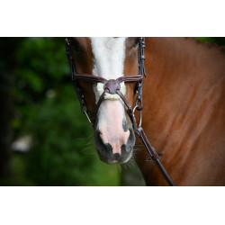 Muserola Tuesday Jump'In Caoba Burdeos