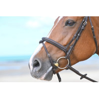 Muserola Tuesday Jump'In Caoba Burdeos