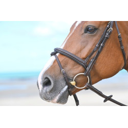 Muserola Tuesday Jump'In Caoba Burdeos