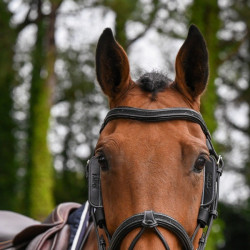 Orejeras Week desmontables Jump'In Havana Marrón