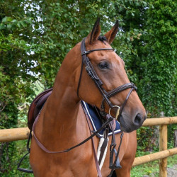 Orejeras Week desmontables Jump'In Havana Marrón