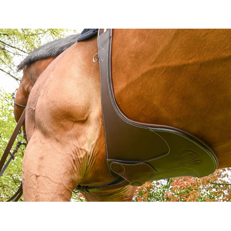 Cincha con protector elástico Safety Jump'In One Cincha con protector elástico Safety Jump'In One
