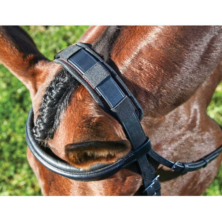 Protector de cuello Weatherbeeta Therapy-Tec