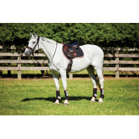 Manta de silla Therapy-Tec Weatherbeeta Negro / plata / rojo Manta de silla Therapy-Tec Weatherbeeta Negro / plata / rojo