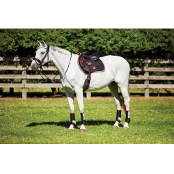 Manta de silla Therapy-Tec Weatherbeeta Negro / plata / rojo