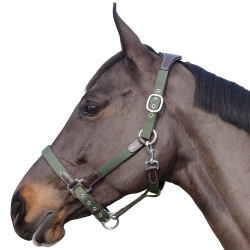 Halfter Banderas y Copa Nailon/Cuero Halfter Banderas y Copa Nailon/Cuero