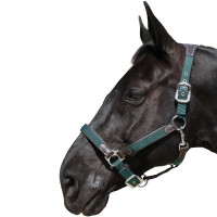 Cabezada de cuadra Flags & Cup Nylon/cuero Marrón / marino Cabezada de cuadra Flags & Cup Nylon/cuero Marrón / marino