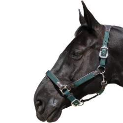 Halfter Banderas y Copa Nailon/Cuero Marrón / oliva Verde Halfter Banderas y Copa Nailon/Cuero Marrón / oliva Verde