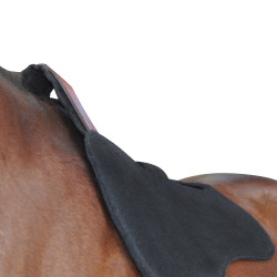 Salvadorso De Fieltro Flags & Cup Salvadorso De Fieltro Flags & Cup