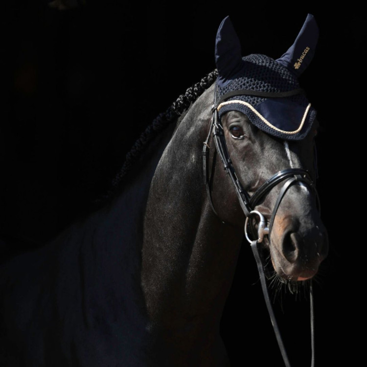 Bucas Fly bonnet