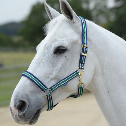 Cabezada Bucas Dublin A rayas / azul marino Multicolor Cabezada Bucas Dublin A rayas / azul marino Multicolor