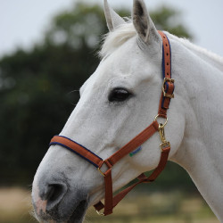 new Marrón / azul marino new Marrón / azul marino