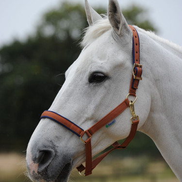 new Marrón / azul marino new Marrón / azul marino