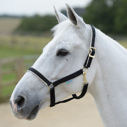 new Negro / plata new Negro / plata