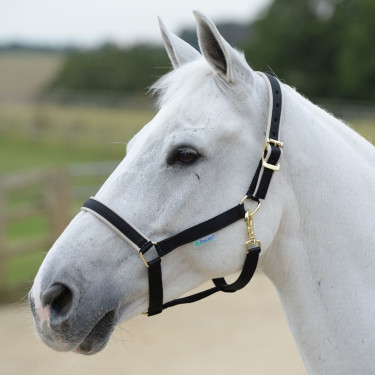 new Negro / plata new Negro / plata