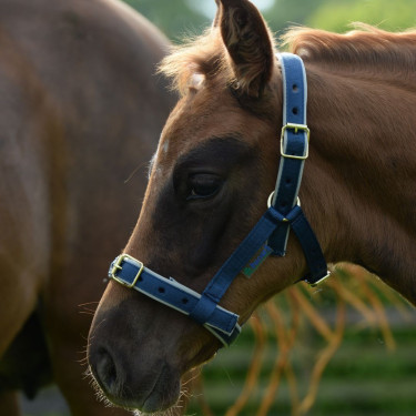 new Azúl marino / plata new Azúl marino / plata