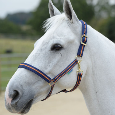 Cabezada Bucas Dublin Azul marino / naranja Cabezada Bucas Dublin Azul marino / naranja