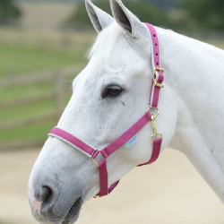 new Rosa / plata new Rosa / plata