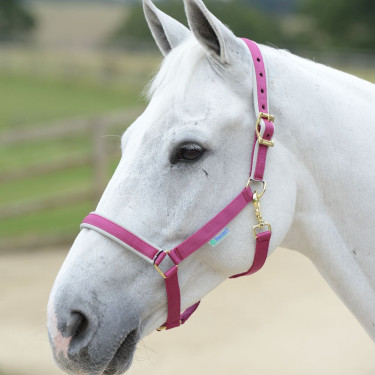 new Rosa / plata new Rosa / plata