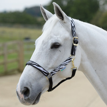 Cabezada Bucas Dublin Cebra / negro Motifs Cabezada Bucas Dublin Cebra / negro Motifs
