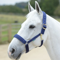 new Bleu marine / bleu marine new Bleu marine / bleu marine