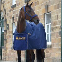 Manta secante Bucas Panel Prize Cooler Azul marino / oro