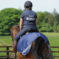 new Azúl marino / plata