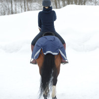 new Azúl marino / plata