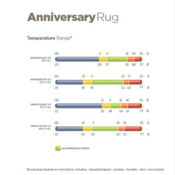 new Negro / plata new Negro / plata