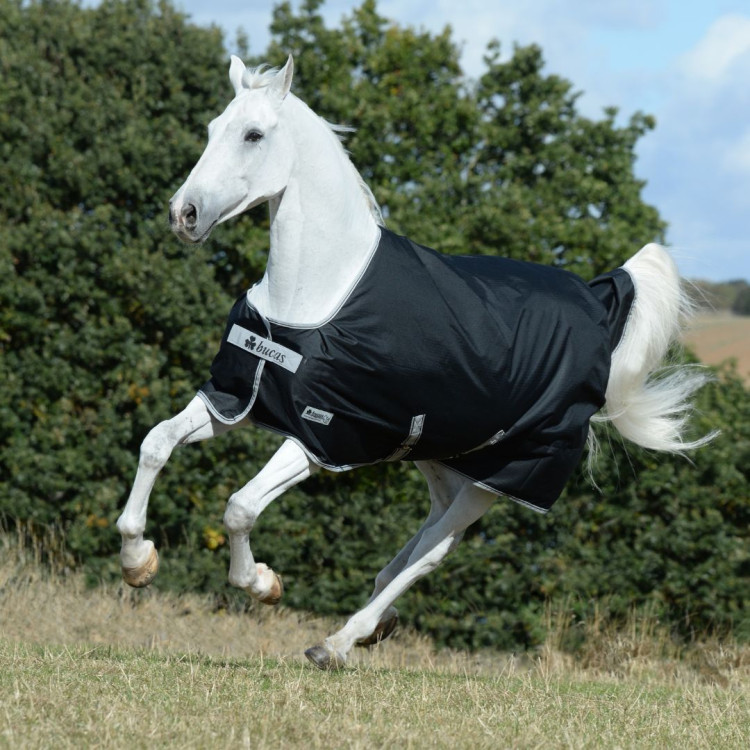 Capa impermeable Bucas Anniversary Turnout Light SD