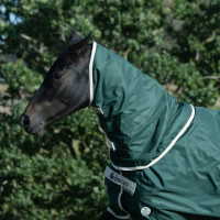 Cubrecuellos Bucas Greenline Verde / crema Cubrecuellos Bucas Greenline Verde / crema