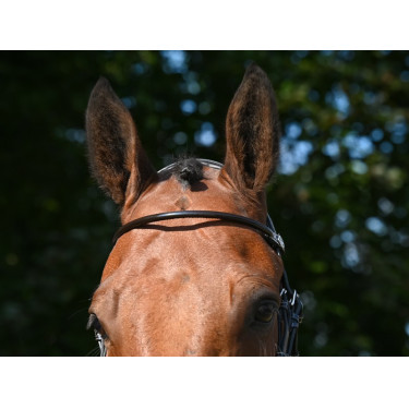 Frontal Jump'In barnizado redondo Havana Marrón Frontal Jump'In barnizado redondo Havana Marrón