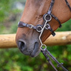 Protecciones Jump'In para hackamore 0091 y 0092