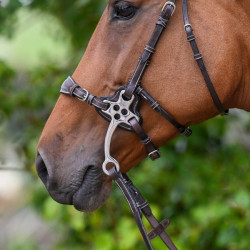 Protecciones Jump'In para hackamore 0093 Protecciones Jump'In para hackamore 0093