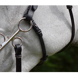 Montantes y correa para hackamore Jump'In week