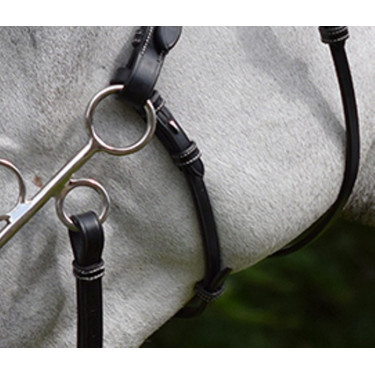 Montantes y correa para hackamore Jump'In week Montantes y correa para hackamore Jump'In week