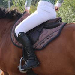 Mantilla Paddock Sports Origine Sport Gris pardo Marrón