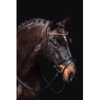 new Negro / oro rosa