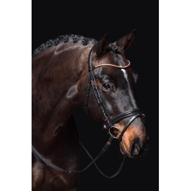 new Negro / oro rosa