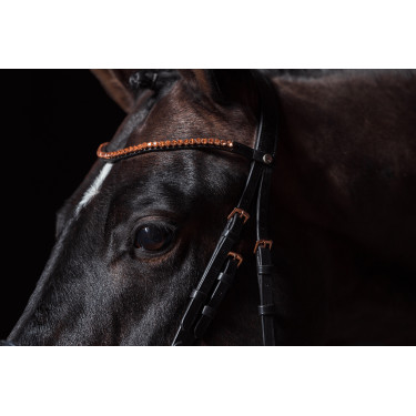 new Negro / oro rosa